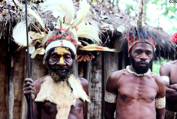 Chimbu warrior wearing kangaroo fur bibs and feathered headdress. Papua New Guinea.