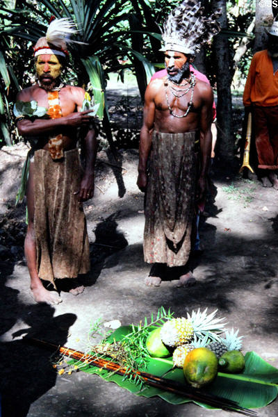 Presents of pineapples and spears from the courtship village. Papua New Guinea.
