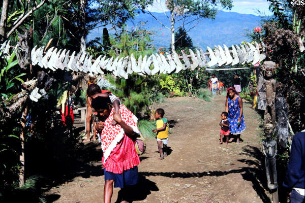 A string of pig jawbones, a measure of wealth, mark the entrance to the Mudmen village. Papua New Guinea.