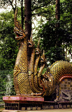 Ceramic tailed naga (dragon) lining the steps to Doi Suthep temple in Chiang Mai. Thailand.