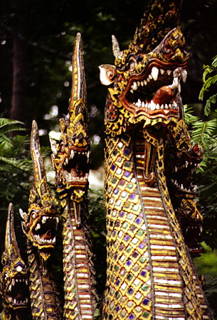 Close up of the naga (dragon) heads at Doi Suthep, Chiang Mai. Thailand.