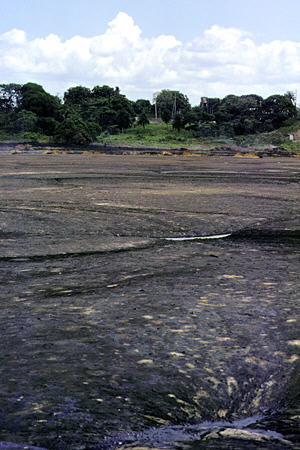 The tar which forms the surface of Pitch Lake. Trinidad and Tobago.
