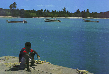 Boy fishing at Buccoo Bay. Trinidad and Tobago.