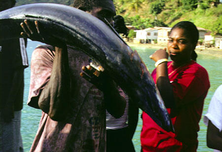 Man carries a tuna in Charlotteville. Trinidad and Tobago.