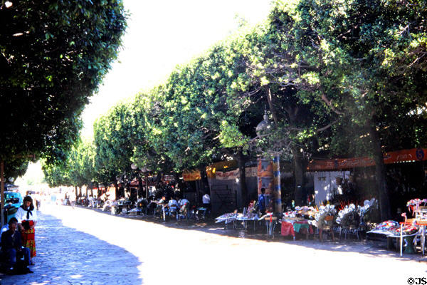 Ave. Habib Bourguiba sidewalk restaurants. Tunis, Tunisia.