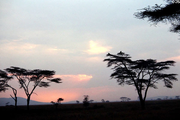 Hazy sunset in the heat of Serengeti Park. Tanzania.