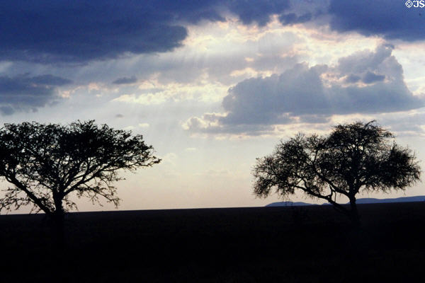 Sunlight streams through afternoon clouds over Serengeti Park. Tanzania.