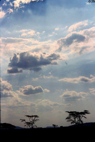 Cloudy afternoon sky over Serengeti National Park. Tanzania.