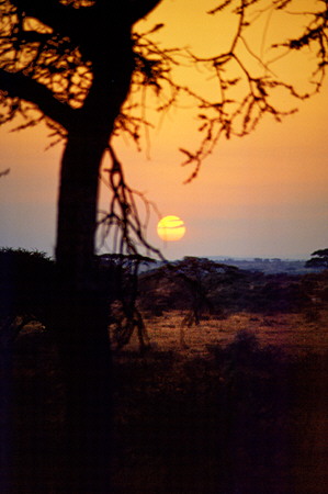 Sunrise over Serengeti National Park. Tanzania.