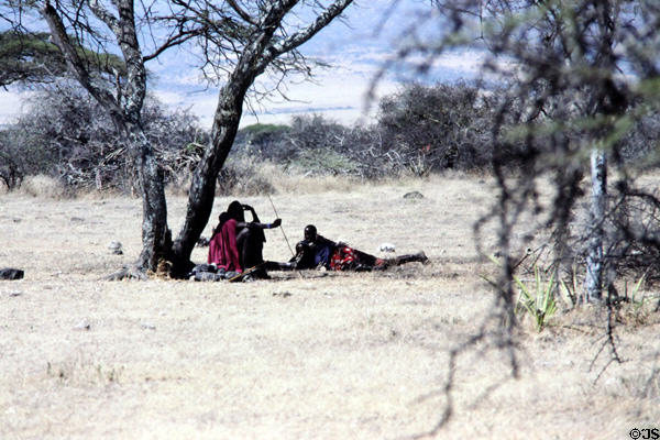 Masai resting in the shade of a tree in the Olduvai Gorge. Tanzania.