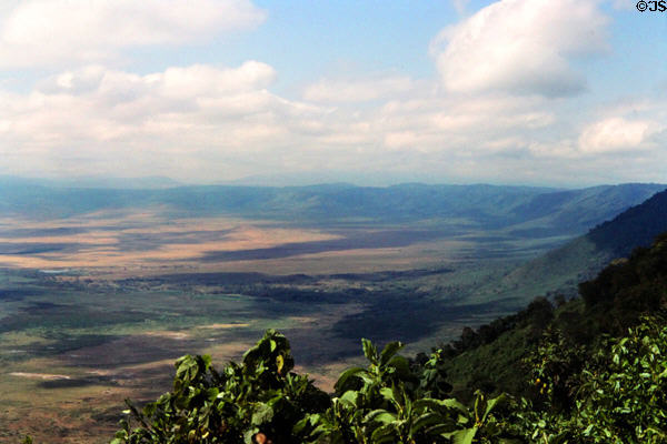 The circular hills ring the ancient volcanic floor of Ngorongoro Crater Conservation Area. Tanzania.