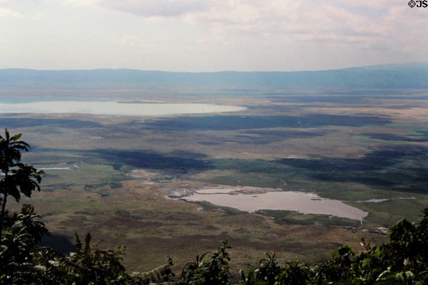 Lakes & plains in extinct caldera of Ngorongoro Crater. Tanzania.