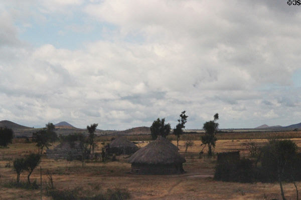 Round thatched roof huts of a native village. Tanzania.
