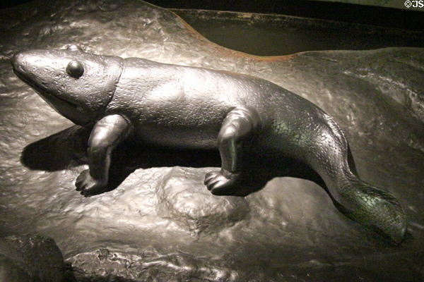 Model of Ichthyostega, first known creature to live in & out of water, at Our Dynamic Earth. Edinburgh, Scotland.