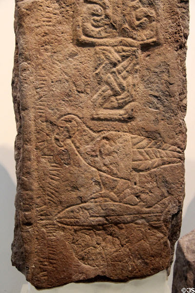 Pictish stone carved with bird & fish (c600) at National Museum of Scotland. Edinburgh, Scotland.