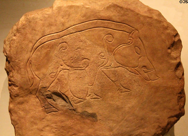 Pictish stone slab with boar inscribed with spirals from Dores at National Museum of Scotland. Edinburgh, Scotland.