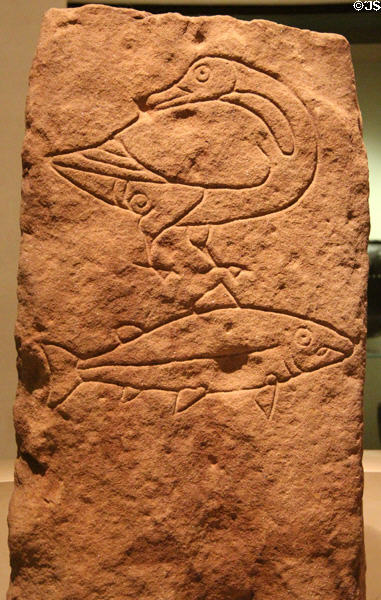 Pictish stone slab inscribed with goose & fish from Easterton of Roseisle at National Museum of Scotland. Edinburgh, Scotland.