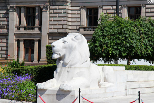 Marble lion sculpture on George Square Cenotaph (1921-4) by Ernest Gillick. Glasgow, Scotland.