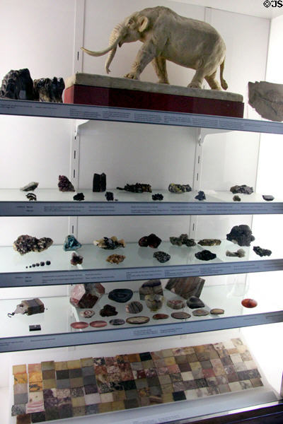 Geology collection at Hunterian Museum. Glasgow, Scotland.
