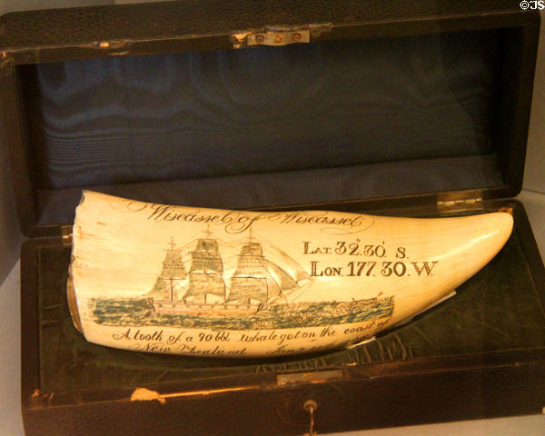 Scrimshaw carving (1836) of whaling ship Wiscasset, later converted to migrant ship & which carried Carnegie family from Glasgow to New York City in 1848 at Andrew Carnegie Birthplace Museum. Dunfermline, Scotland.