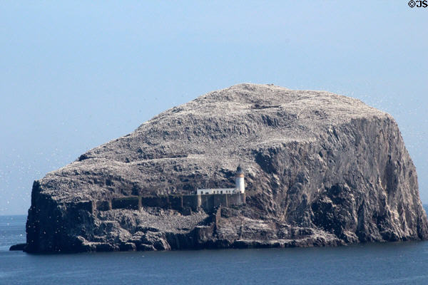 Bass Rock with castle remains (1400s) & 20thC lighthouse off Tantallon Castle. Scotland.