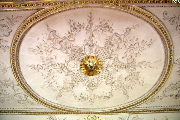 Central Rococo decoration on ceiling by John Dawson in Red Drawing Room at Hopetoun House. Queensferry, Scotland.