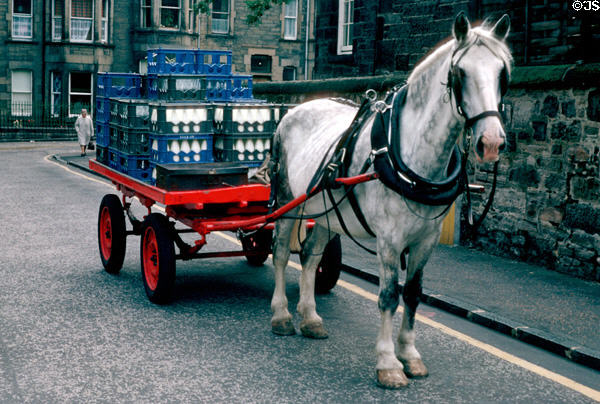 Horse-drawn milk wagon (1970s). Edinburgh, Scotland.