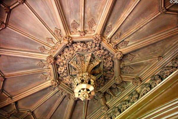 Library ceiling carvings at Abbotsford House. Melrose, Scotland.