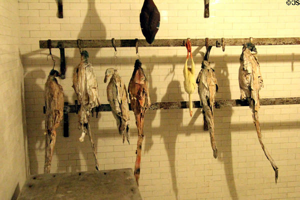 Poultry preparation room at Manderston House. Duns, Scotland.