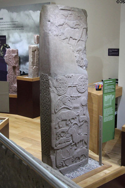 Pictish cross-slab (back Droston stone) shows animals & Pictish symbols at St Vigeans Museum. Arbroath, Scotland.