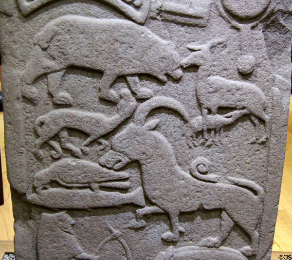 Pictish cross-slab (back Droston stone) detail of animals at St Vigeans Museum. Arbroath, Scotland.