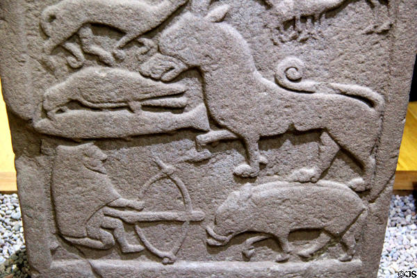 Pictish cross-slab (back Droston stone) detail of hunter facing boar at St Vigeans Museum. Arbroath, Scotland.