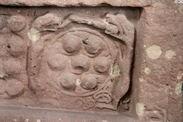 Pictish graveslab (back #11) detail of 7 bosses circled by serpents at Meigle Sculptured Stone Museum. Meigle, Scotland.