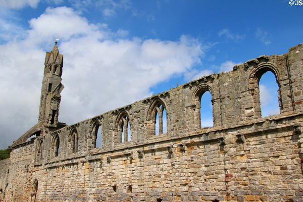 Only remaining wall & western tower of nave of St Andrews Cathedral. St Andrews, Scotland.