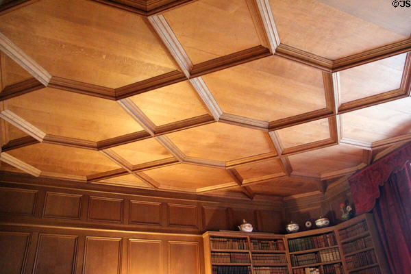 Library ceiling at Falkland Palace. Falkland, Scotland.