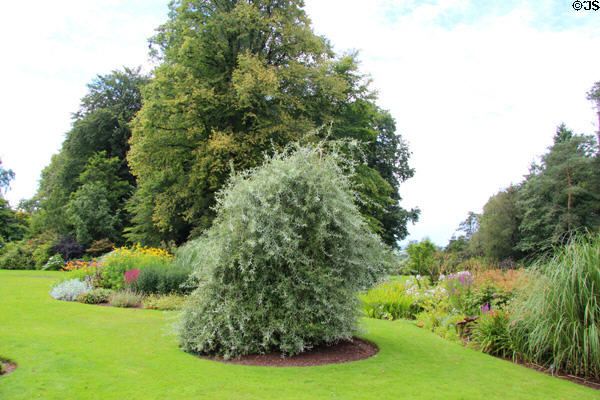 Treescape at Threave Garden. Rhonehouse, Scotland.
