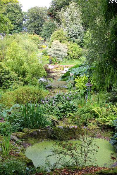 Water garden at Threave Garden. Rhonehouse, Scotland.