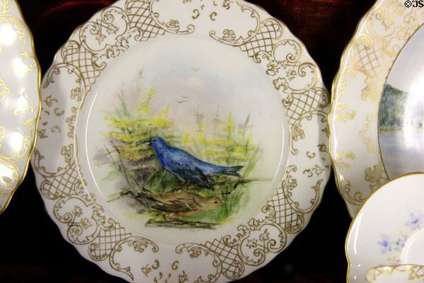 Canadian blue bird painted on porcelain plate of set given by Canadian Parliament to Countess of Aberdeen at Haddo House. Methlick, Scotland.