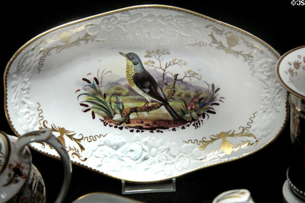 Bone china dish with bird painting & gilding (1817-30) by Charles Bourne of Fenton, Stoke-upon-Trent at Potteries Museum & Art Gallery. Hanley, Stoke-on-Trent, England.