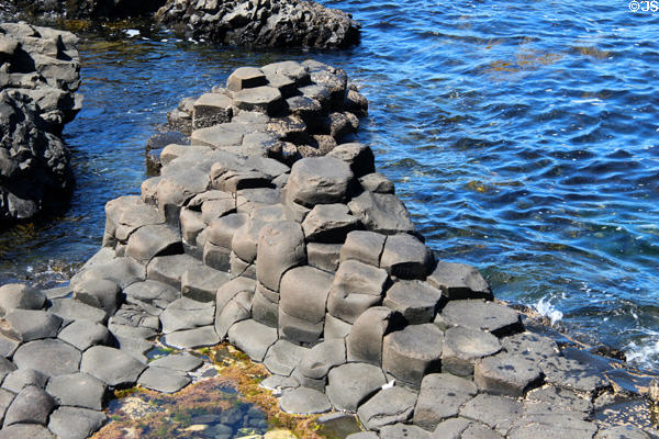 Varying shapes at Giant's Causeway. Northern Ireland.