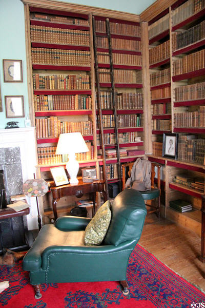 Library with ladder at Florence Court. Enniskillen, Northern Ireland.