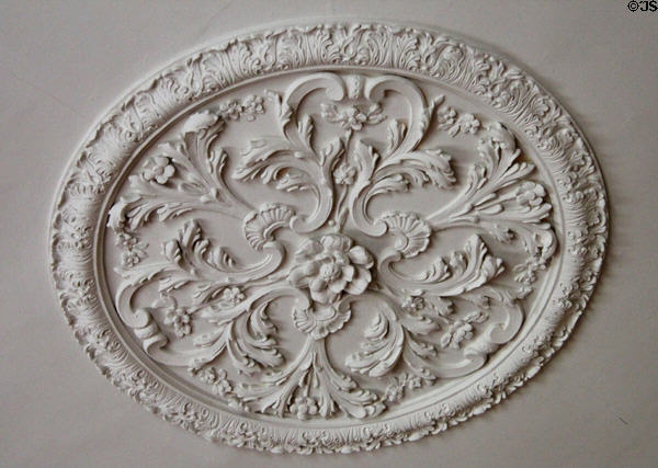 Parlor plaster ceiling medallion at Florence Court. Enniskillen, Northern Ireland.