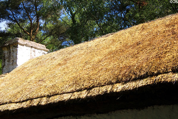 Thatched roof on Weavers cottage at Ulster American Folk Park. Omagh, Northern Ireland.