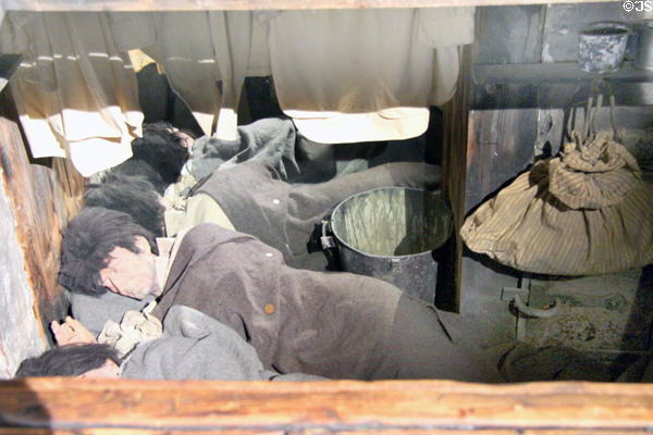 Replica of slum of New York's Irish 'Bloody Sixth' ward based on 1880s photos by Jacob August Riis at Ulster American Folk Park. Omagh, Northern Ireland.