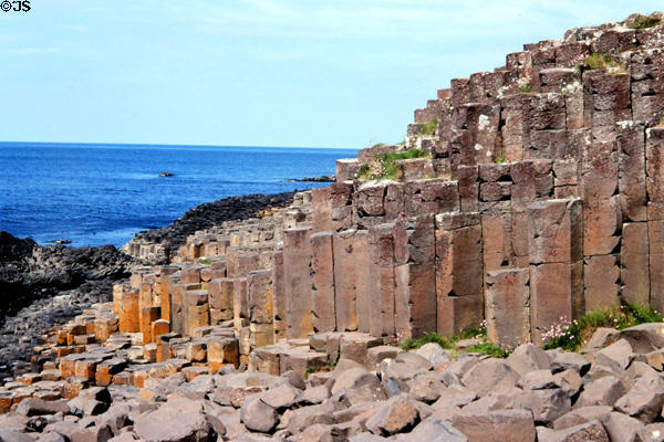 Taller hexagonal basalt resulting from volcanic activity at Giant's Causeway. Northern Ireland.