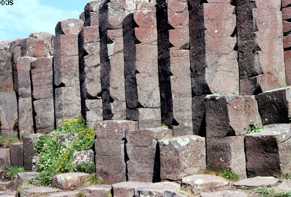 Hexagonal basalt cores of Giant's Causeway. Northern Ireland.