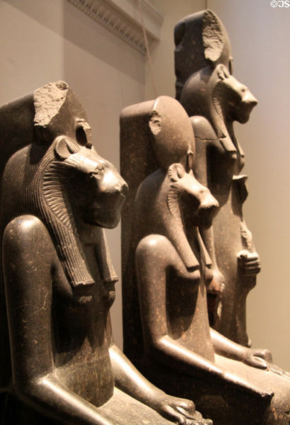 Four black granite figures of goddess Sakhmet (18th Dynasty - c1400 BCE) from Thebes at British Museum. London, United Kingdom.