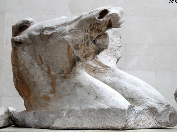 Marble horses on east pediment of Athens Parthenon (447-438 BCE) by Pheidias at British Museum. London, United Kingdom.