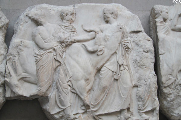 Panathenaic festival with bull marble relief (Block XLV) from south frieze of Athens Parthenon (447-438 BCE) by Pheidias at British Museum. London, United Kingdom.