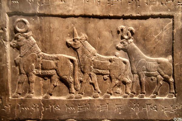 Relief panel on Assyrian Black Obelisk of Shalmaneser III (c827 BCE) from Nimrud showing variety of ruminants given to King Shalmaneser III in tribute at British Museum. London, United Kingdom.